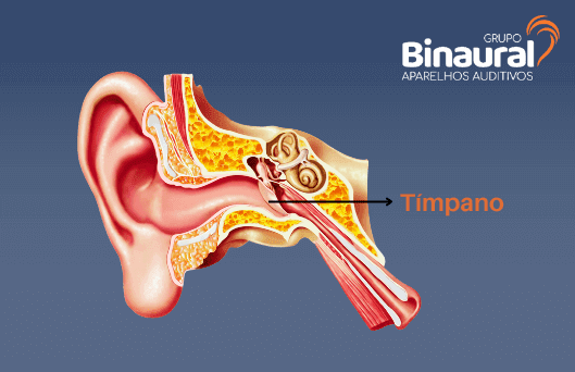 Imagem do sistema auditivo indicando onde fica localizado o tímpano